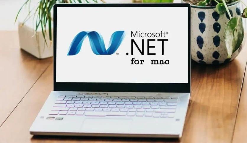 Microsoft .NET 9.0.300