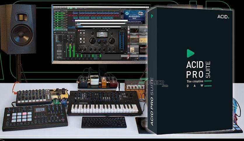 MAGIX ACID Pro Suite 11.0.2.21