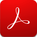 Adobe Acrobat Pro DC 24.005.20320