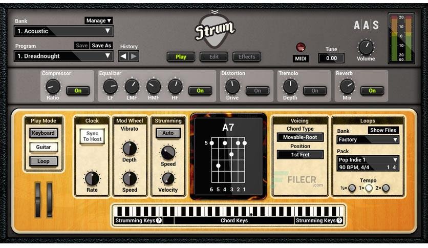 Applied Acoustics Systems Strum GS 2.4.4